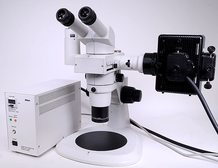 ニコン蛍光実体顕微鏡【SMZ800 倍率：10x～63x】